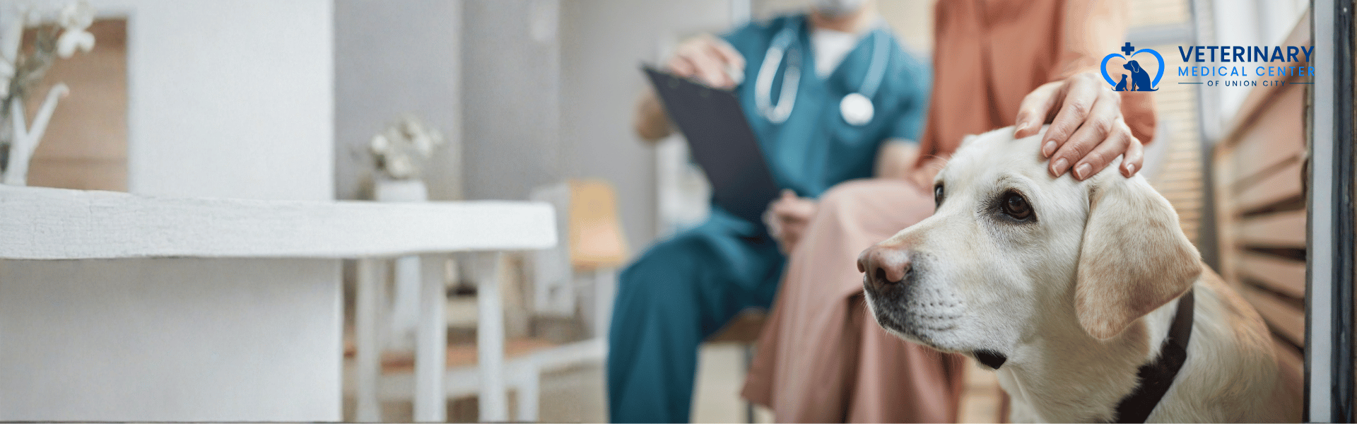 Complete Pet Dental Care with Expert Service