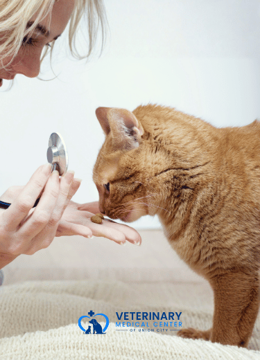 Responsible Pet Care Through Spay & Neuter