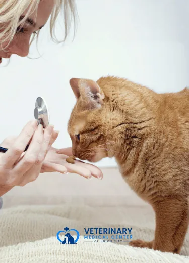 Responsible Pet Care Through Spay & Neuter