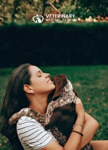 Keep Your Pet Safe with Microchipping