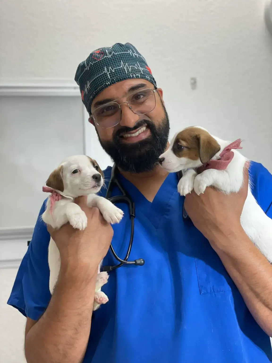 Puppies and kittens care
