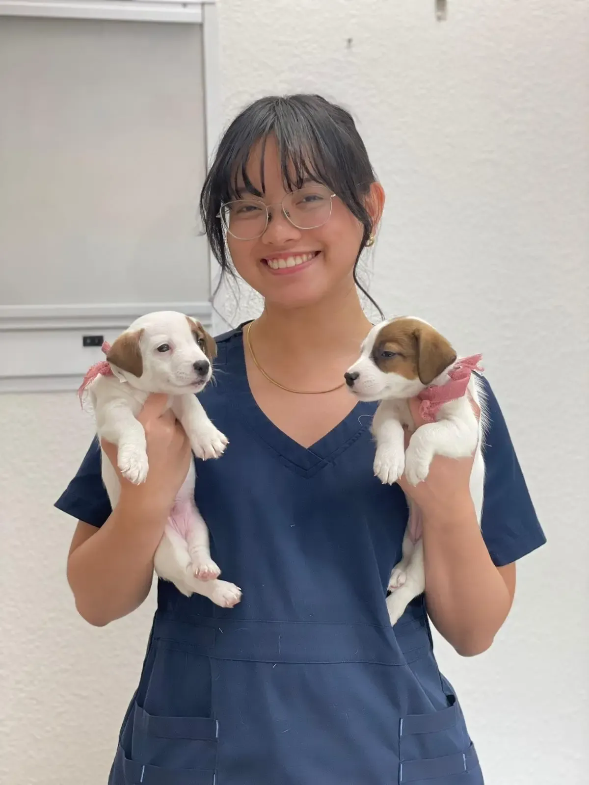 Veterinary Medical Center Team