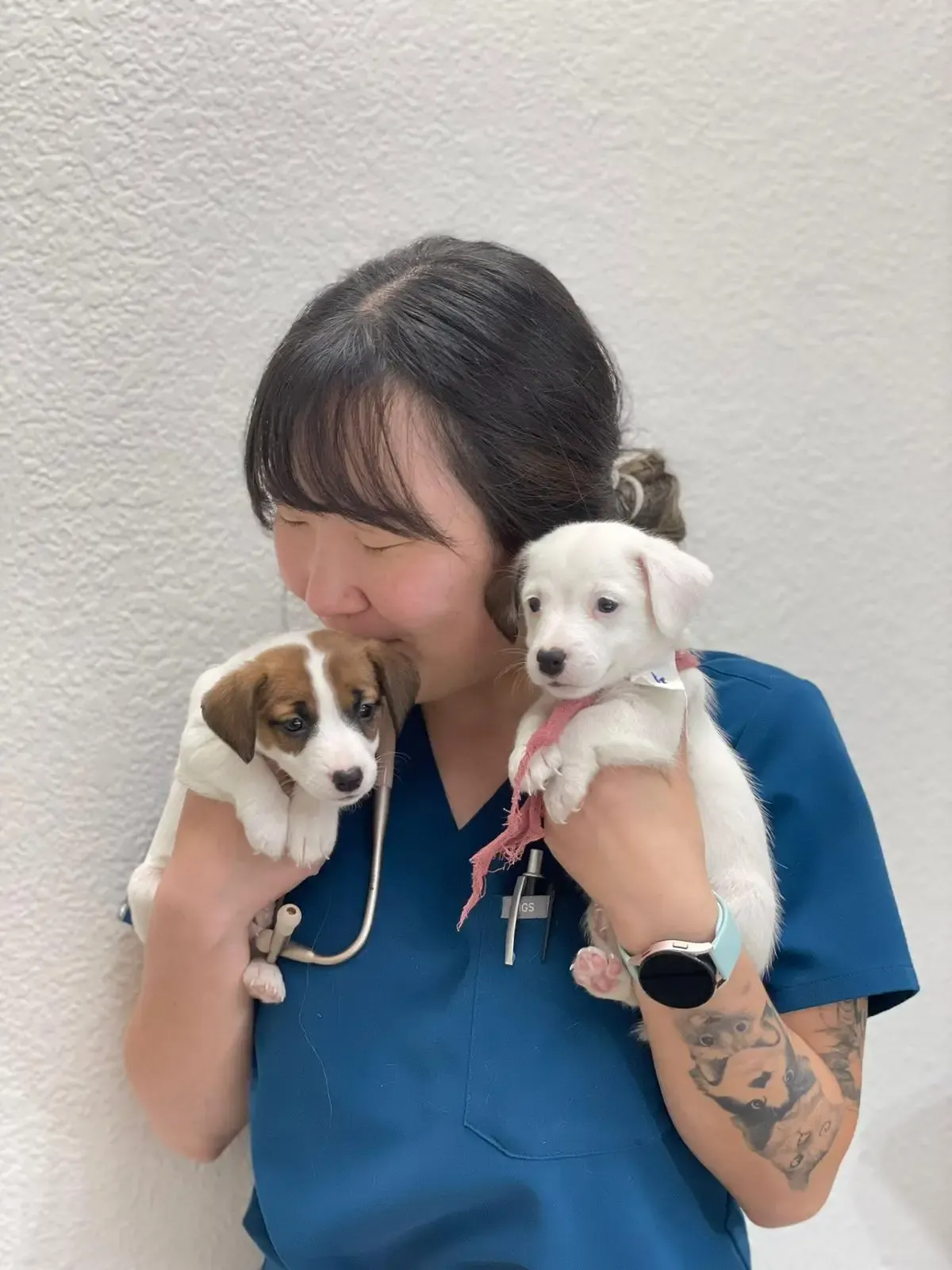 Veterinary care background